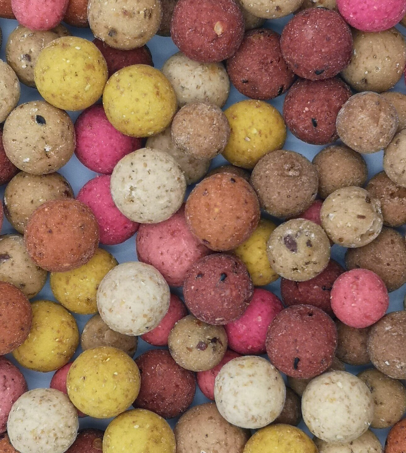 Nieuw-voerboilies